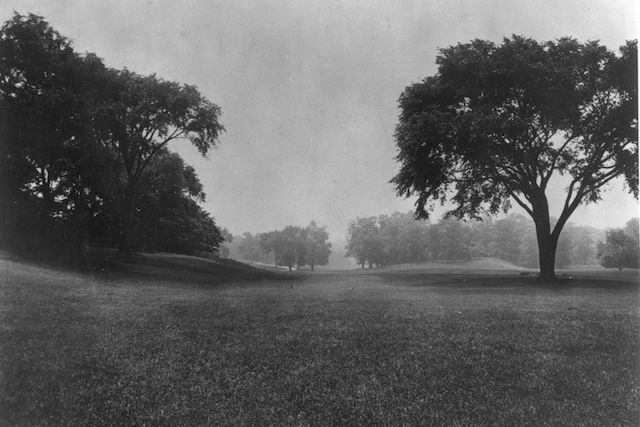 Long Meadow in 1902